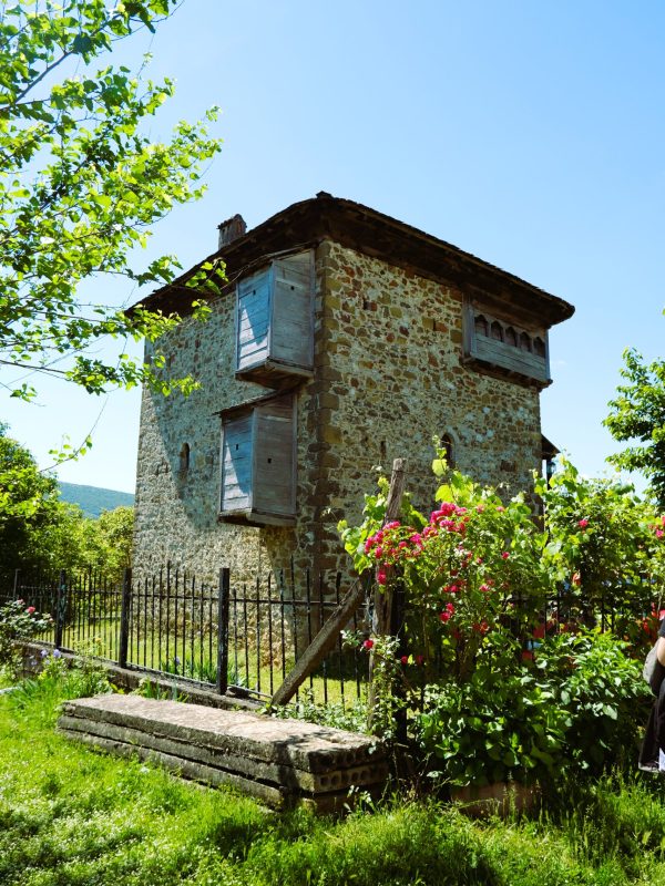 m sokoli